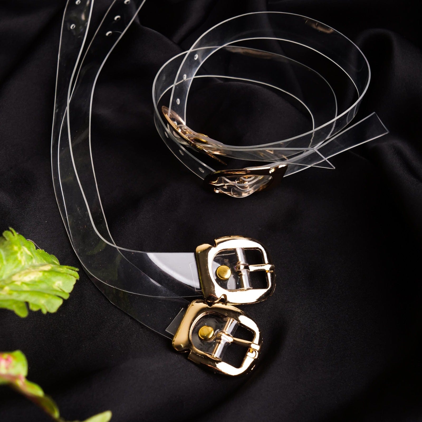 Pair Of Transparent Ankle Straps